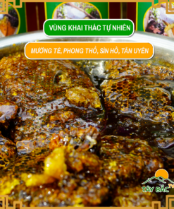 Câu chuyện sản phẩm mật ong Tây Bắc TV