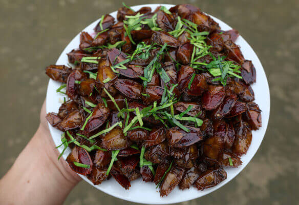 Một số món ăn từ bọ xít