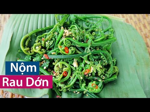 Vị thuốc quý từ rau dớn rừng