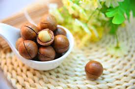 Cách làm sữa hạt mắc ca cực ngon tại nhà