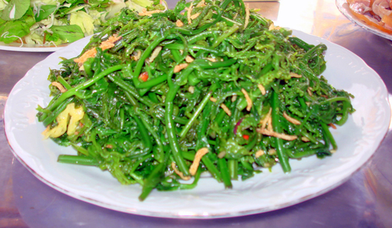 Vị thuốc quý từ rau dớn rừng