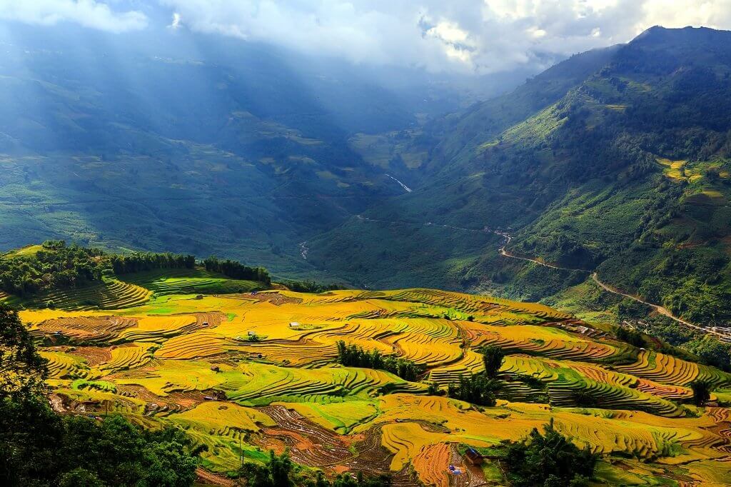 Ruộng bậc thang Sapa