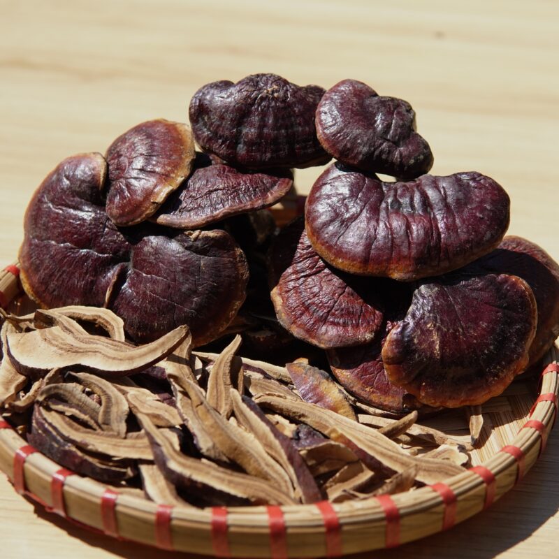 nấm lim xanh NẤM LIM XANH