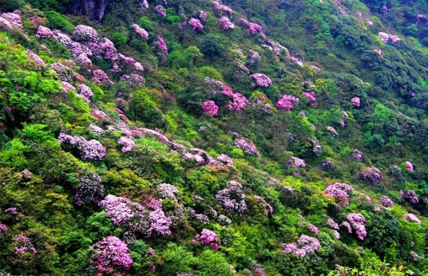 Đỉnh Pu Ta Leng - du lịch Lai Châu