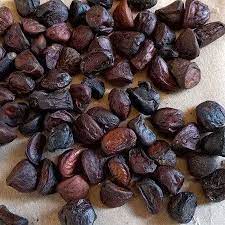 Hạt dổi