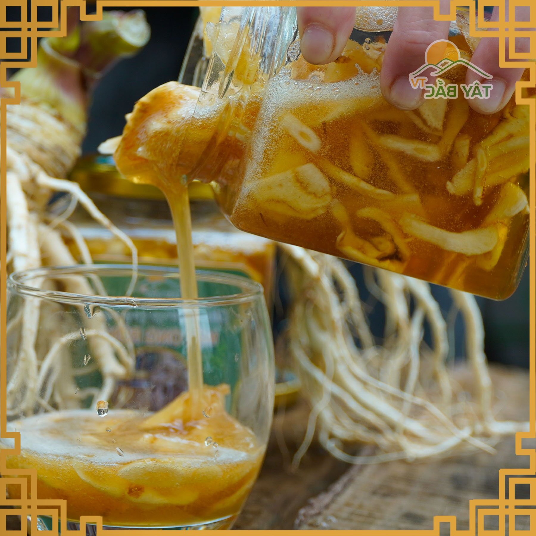 Cách ngâm sâm đương quy với mật ong