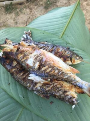 Cá nướng