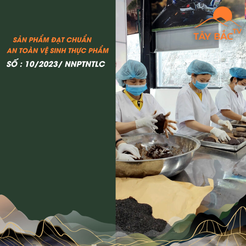 Viên hoàn Hà thủ ô là sản phẩm an toàn và chất lượng