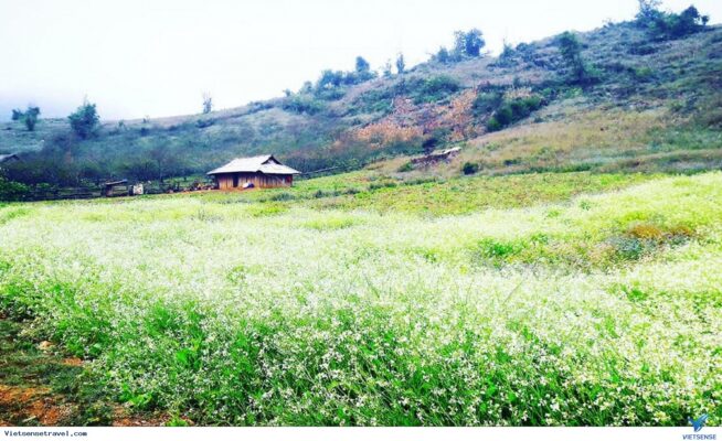 01 số kinh nghiệm khám phá bản Thung Cuông