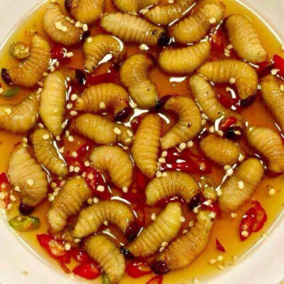Nhộng sâu (đuông dừa)
