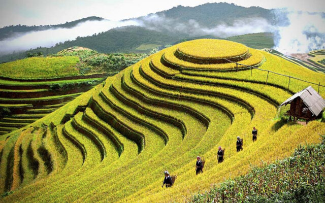 Tour Tây Bắc 5 ngày 4 đêm thành phố Hồ Chí Minh - Tây Bắc