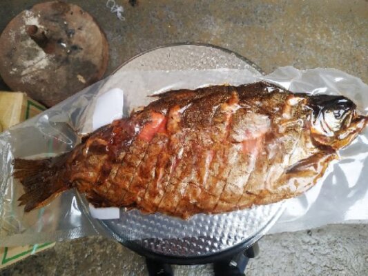 cá hồi hun khói