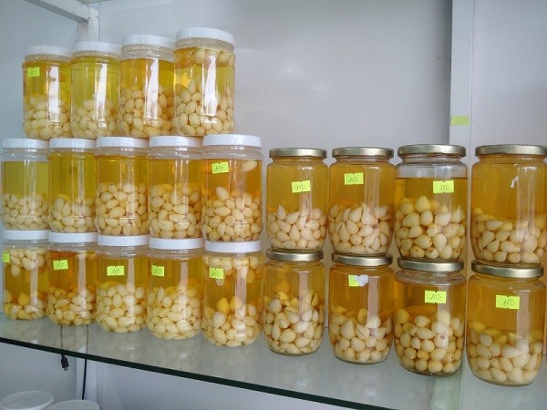 Rượu ngâm rốt cho sức khỏe
