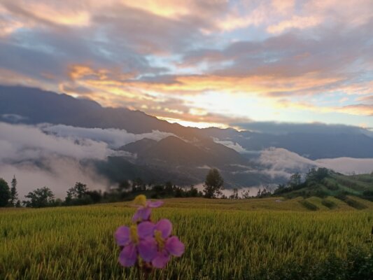 Choản Thèn