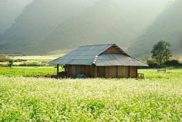01 số kinh nghiệm khám phá Tour Hồ Chí Minh đến vùng cao Tây Bắc