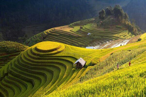 01 số kinh nghiệm khám phá Tour Hồ Chí Minh đến vùng cao Tây Bắc