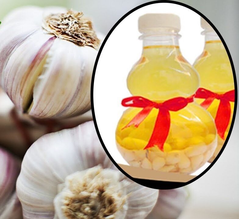 Rượu tỏi - bài thuốc quý từ thiên nhiên