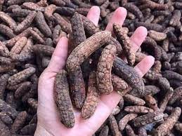 Quả chuối hột khô