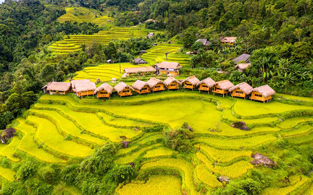 Khám phá Tour Hồ Chí Minh - Tây Bắc 03 ngày 02 đêm