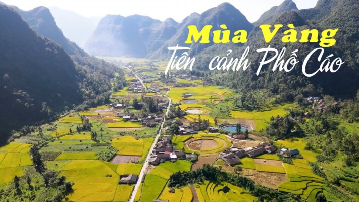 Du lịch Hà Giang Tháng 2: Mùa vàng trên Phố Cáo