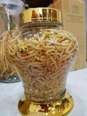 Rượu ngâm sâu chít - đặc sản vùng cao Tây Bắc.