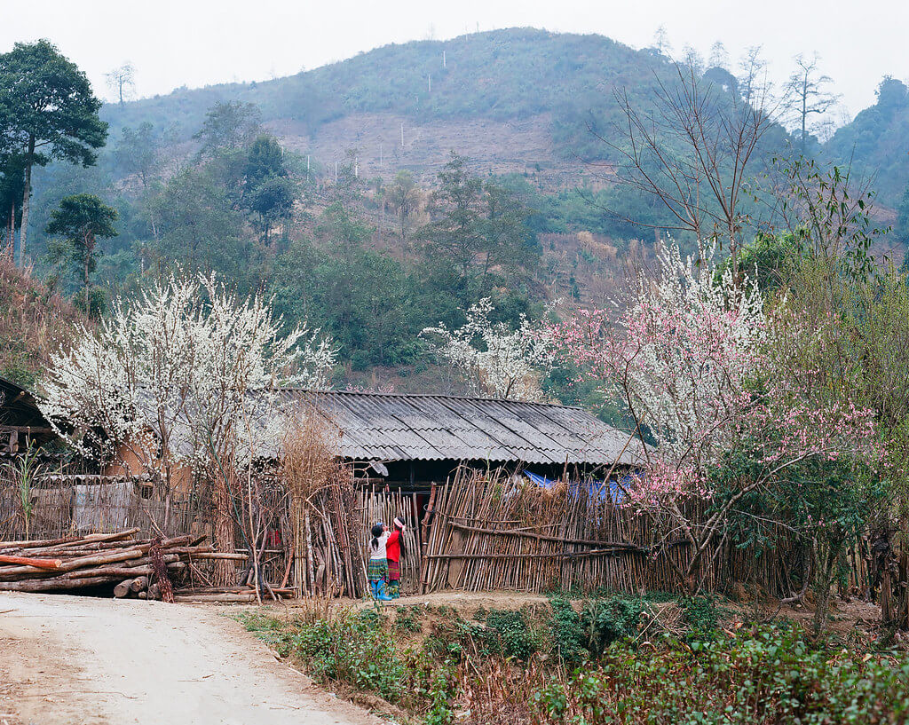 Du lịch Hà Giang tháng 2: Bước tranh hoa muôn màu