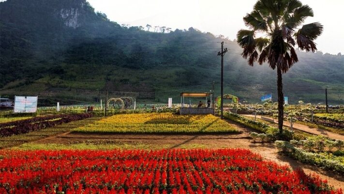 Địa điểm du lịch Yên Bái Địa điểm du lịch Yên Bái: