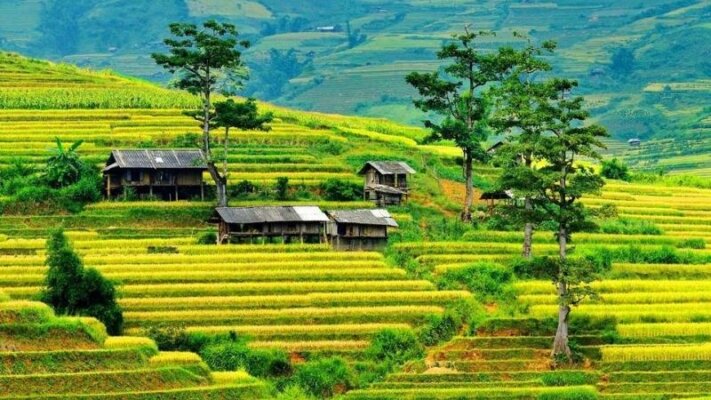 Địa điểm du lịch Yên Bái: Địa điểm du lịch Yên Bái