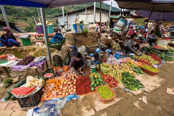 Các chợ dược liệu Tây Bắc bạn nên đến