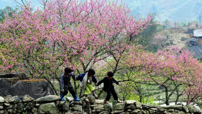 Khám phá du lịch tháng 2 ở Tây Bắc