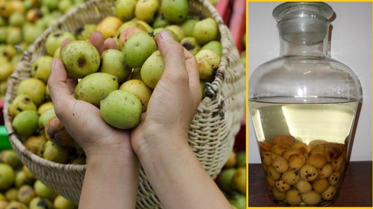 Ngâm rượu táo mèo tươi
