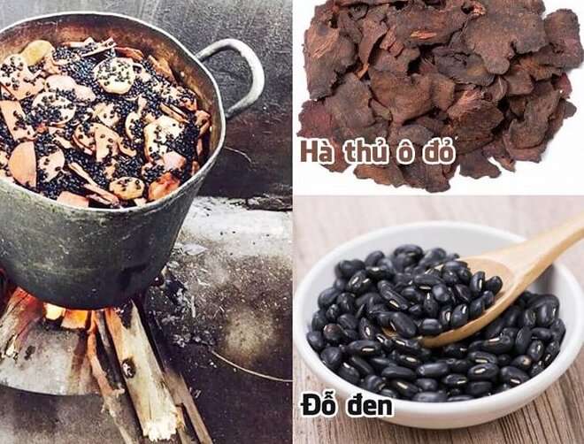 cách chế biến hà thủ ô làm đen tóc cách chế biến hà thủ ô làm đen tóc