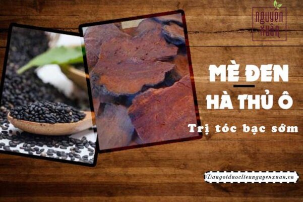 cách chế biến hà thủ ô làm đen tóc cách chế biến hà thủ ô làm đen tóc