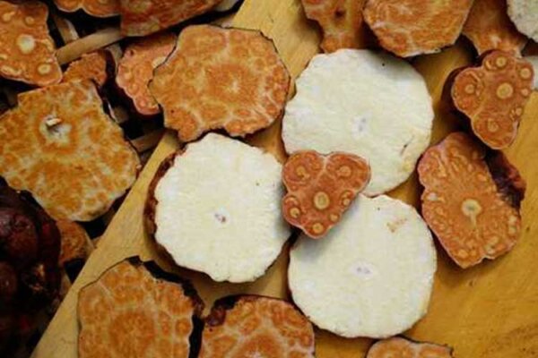 Củ hà thủ ô trắng có tác dụng gì? Củ hà thủ ô trắng có tác dụng gì?