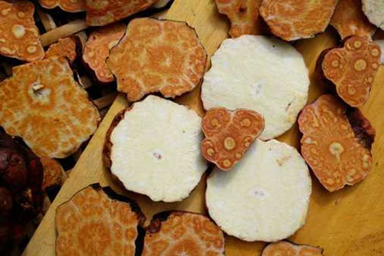 hà thủ ô đỏ hay hà thủ ô trắng tốt hơn hà thủ ô đỏ hay hà thủ ô trắng tốt hơn