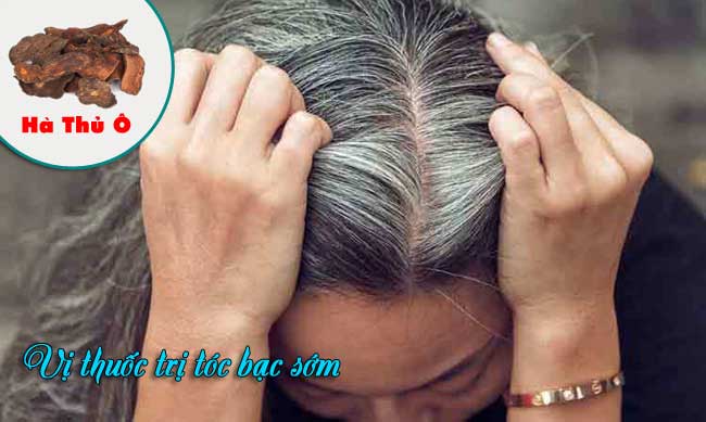 Tác dụng của hà thủ ô đối với tóc rụng, tóc bạc sớm