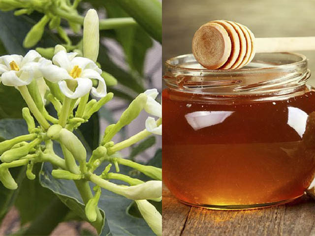 Cách uống hoa đu đủ đực ngâm mật ong Cách uống hoa đu đủ đực ngâm mật ong