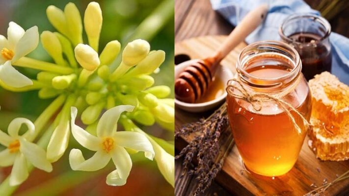 Cách ngâm hoa đu đủ đực với mật ong Cách ngâm hoa đu đủ đực với mật ong