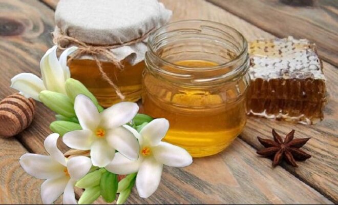 Cách ngâm hoa đu đủ đực với mật ong Bỏ túi cách ngâm hoa đu đủ đực với mật ong