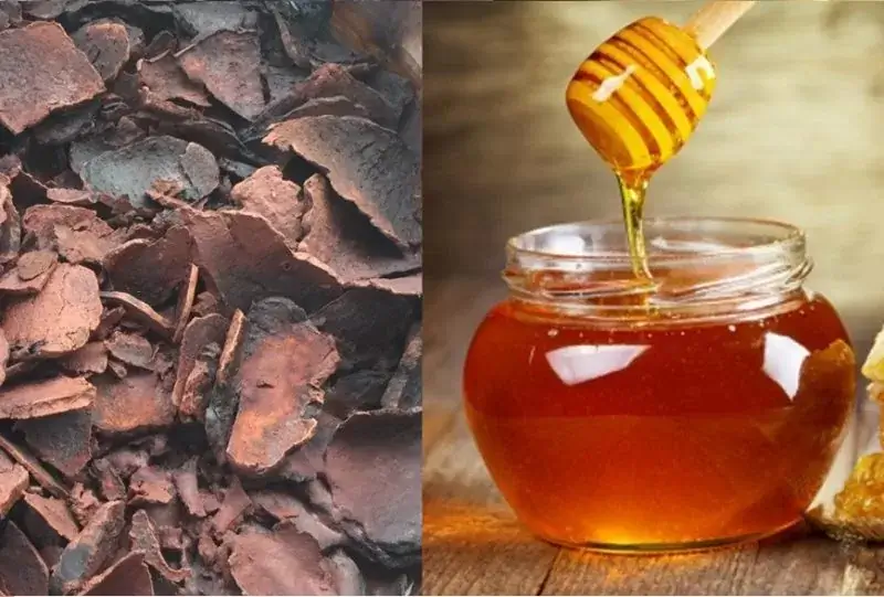 Chế biến viên hà thủ ô mật ong rừng