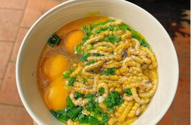 Tác dụng của sâu chít Tác dụng của sâu chít