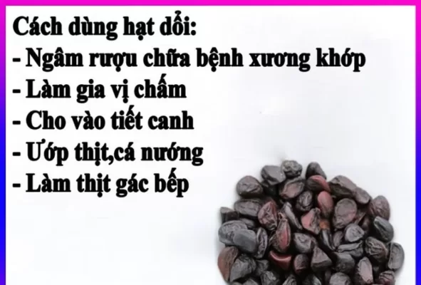 Cách sử dụng hạt dổi mắc khén Cách sử dụng hạt dổi