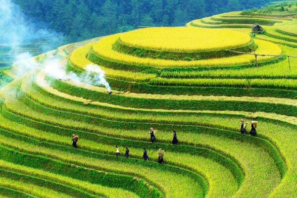 Du lịch Tây Bắc tháng 4: Mù Cang Chải Du lịch Tây Bắc tháng 4: Mù Cang Chải