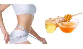 Sâm đương quy ngâm mật ong có tác dụng giảm cân