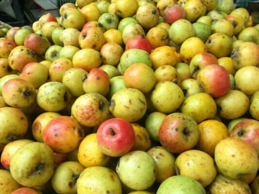 Bỏ túi cách ngâm rượu táo mèo tươi