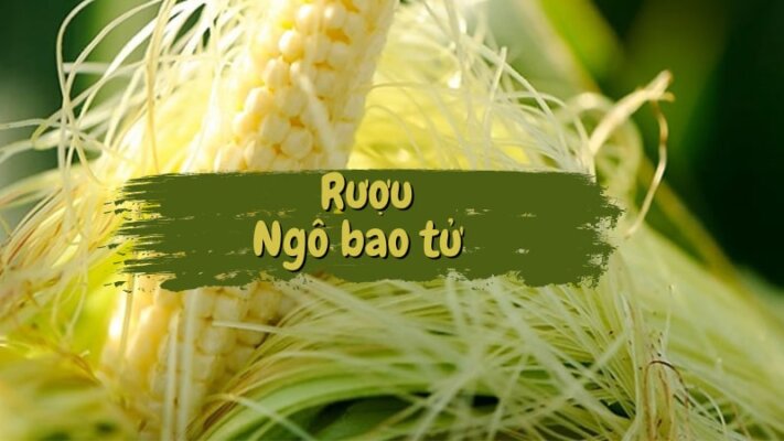 ngô bao tử ngâm rượu có tác dụng gì