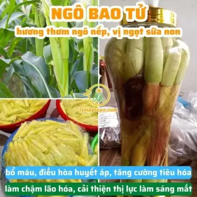 Cách ngâm rượu ngô bao tử