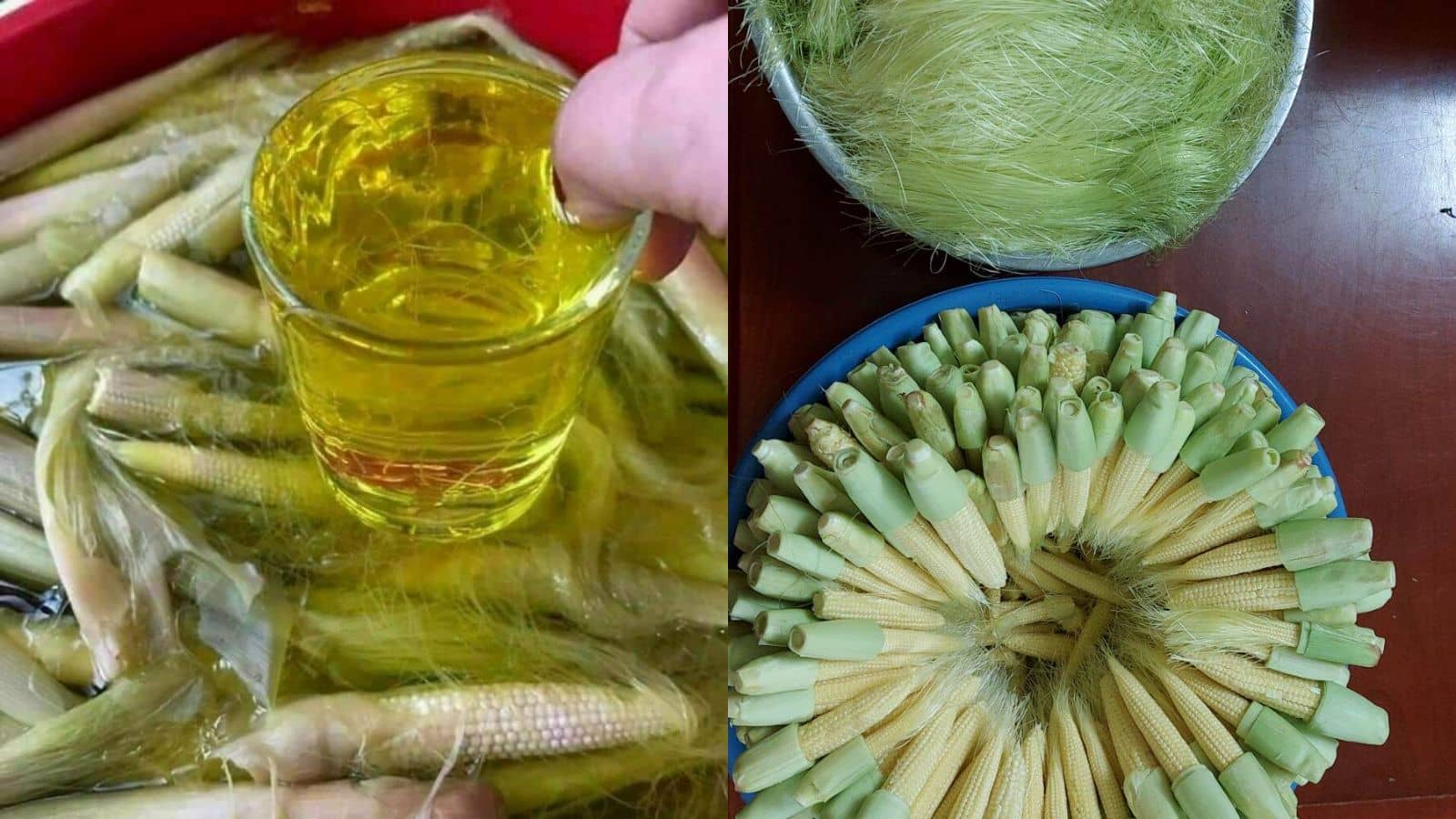 Ngô bao tử ngâm rượu