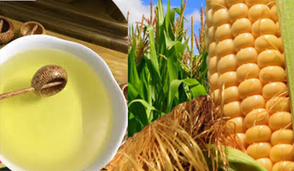 Cách ngâm rượu ngô già