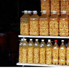 Giá rượu sâu chít